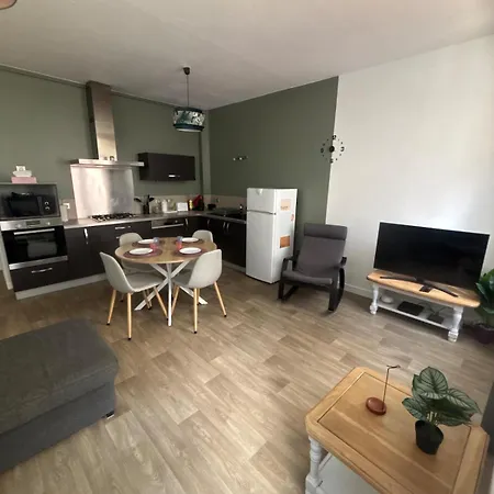 T2 Cosy Au Centre Du Puy En Velay
